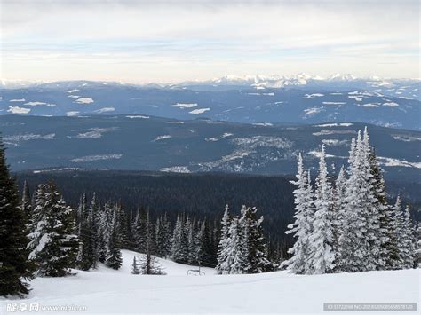 滑雪场 的图像结果