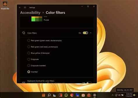 Image result for Windows 11 Camera Filters