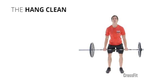 Image result for Hang Clean Basic Steps