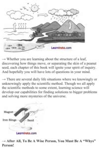 Image result for Class 6 Science Chapter 1 Infinity Learn