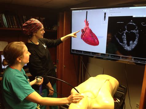 Anaesthesia Simulation 的图像结果