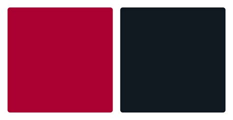 Central Washington Wildcats Color Codes Hex, RGB, and CMYK - Team Color ...