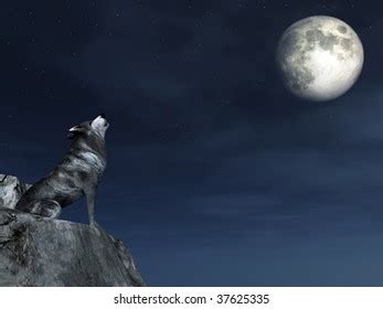 Image result for Wolves Crying