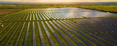 Nachbarschaftsstreit um Solaranlage: Kein Ende in Sicht? | agrarheute.com