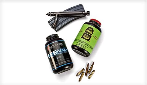 Image result for 223 Loading Data