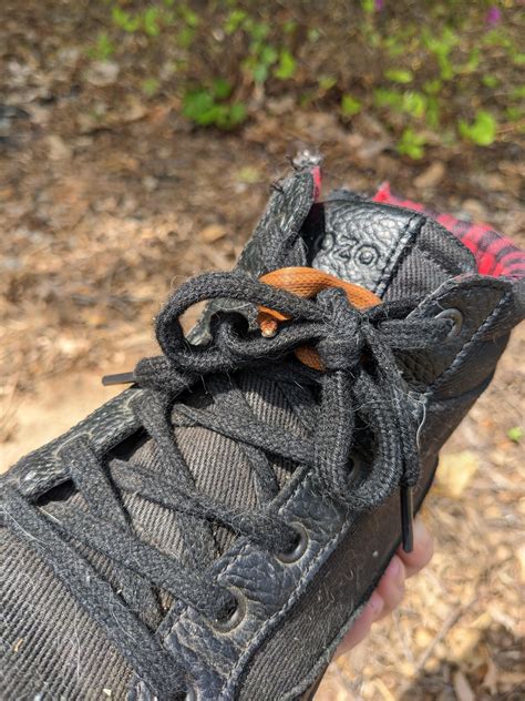 ID? North Georgia, USA ( AND I FOUND A SNAKE IN MY BOOT ON MY BIRTHDAY ...