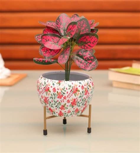 Humera Handicraft Designer Indoor Plant Pots with Stand Plant & Roots ...