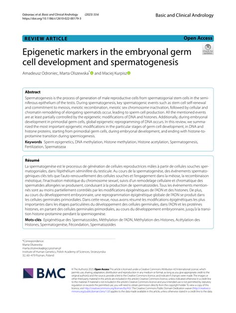 Image result for Germ Cell Development
