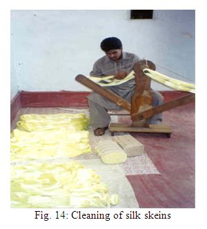PROCESSING OF MULBERRY COCOONS