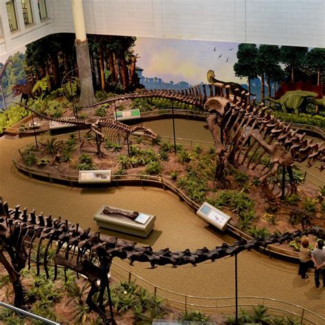 CARNEGIE MUSEUM OF NATURAL HISTORY (2025) All You Need to Know BEFORE ...