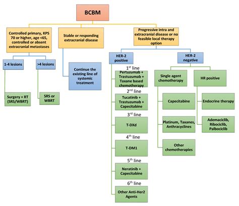 Advances in the Management of Central Nervous System Metastases from ...