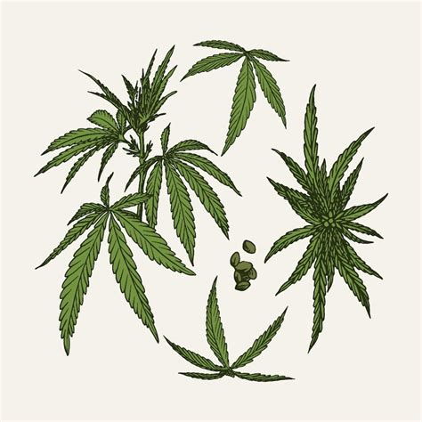Cannabis Vectors - Download Free High-Quality Vectors from Freepik ...
