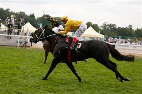 "Undrafted" horse owned by undrafted QB pulls huge upset