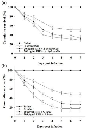 Rice Husk Silica Enhances Innate Immune in Zebrafish (Danio rerio) and ...