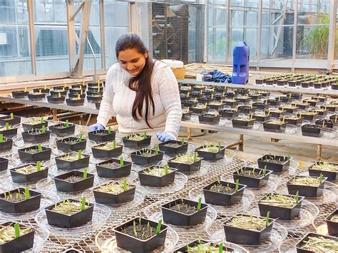 CropScience 的图像结果