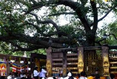 Himalaya Nyingmapa Buddhist Temple, manali, India - Top Attractions ...