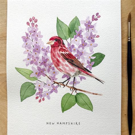 New Hampshire State Bird Art Print New Hampshire Red Finch - Etsy