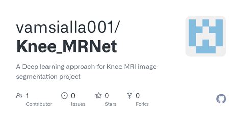 Knee Net Deep Learning Model 的图像结果
