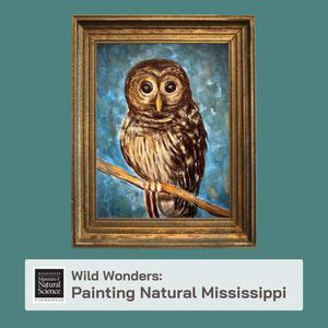 Wild Wonders: Painting Natural Mississippi Class Three “Bard Owl Blues ...