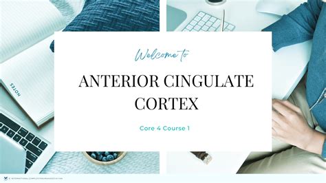 Cingulate cortex Disorders 的图像结果