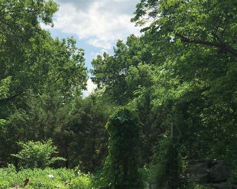 THE 30 BEST Places to Visit in Lebanon (2026) - Must-See Attractions