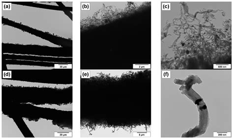 Precise Characterization of CNF-Coated Microfibers Using Transmission ...