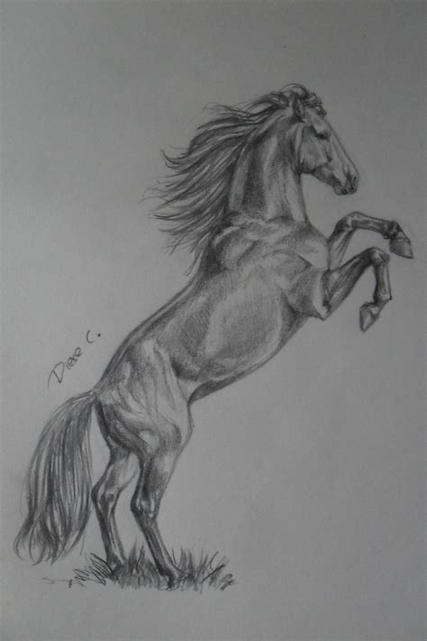 Horse sketch, Animal drawings sketches, Horse drawings
