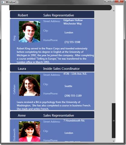 Image result for RadGridView WPF Tutorial