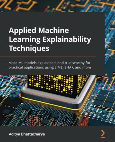 Explainable Machine Learning Models 的图像结果