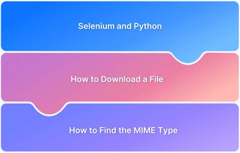 Image result for File Upload in Selenium Java