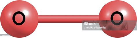 Image result for O2 Molecular Structure