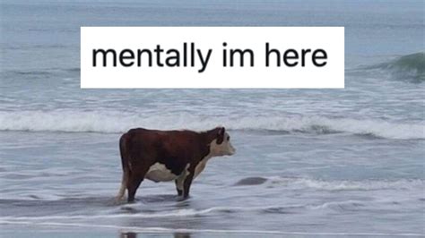 'Mentally I'm here' Memes Are Here To Prompt Some 2020 Introspection ...