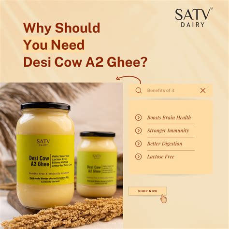 Desi Cow A2 Milk Ghee | Satv Dairy Pure Bilona Ghee – Sâtv Dairy