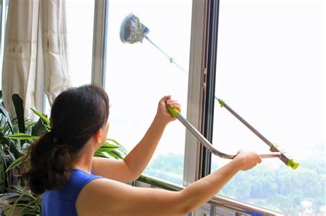Cleaning Windows Outside 的图像结果