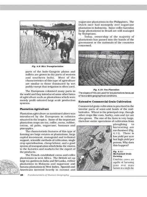 Image result for Skill Ark Class 12 Chapter 4