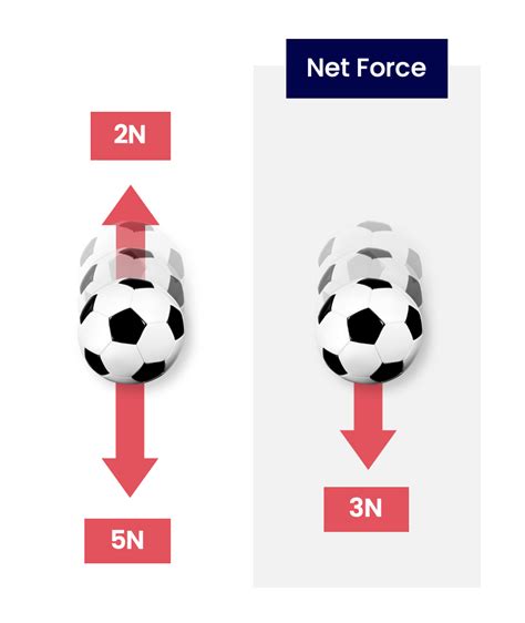 Net Force Examples Contact & Non Contact Forces: Definition, Types,