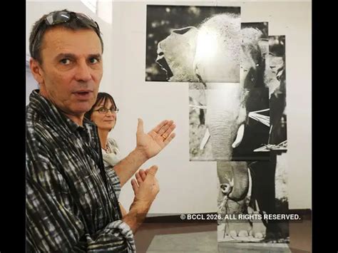 Elephant Enigma Exhibition - January 24, 2014 | The Economic Times