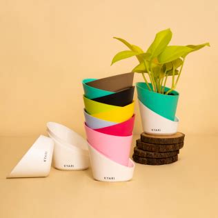 Some key benefits of self-watering pots and how a self-watering pot wo ...
