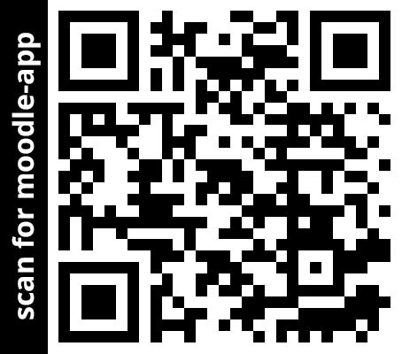 Code Moodle 的图像结果