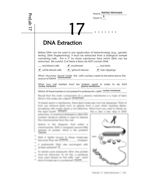 DNA Extraction Lab Report 的图像结果