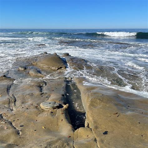 La Jolla Tide Pools in La Jolla, CA (7 Photos)