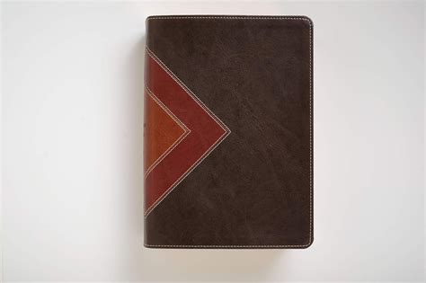 NLT Illustrated Study Bible, Deluxe Brown and Tan Edition — EachDayKart.in