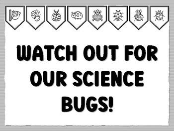 WATCH OUT FOR OUR SCIENCE BUGS! Ladybug Bulletin Board Kit, Ready to ...