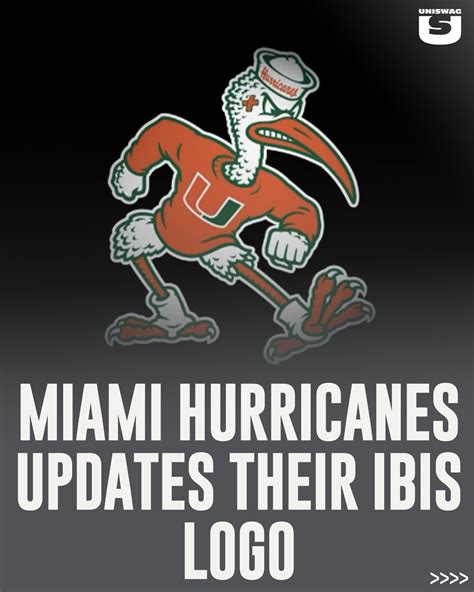 Miami Ibis Logo Recently Took Up Drawing As A Hobby. Certainly Not A