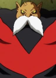 Toppo 的图像结果