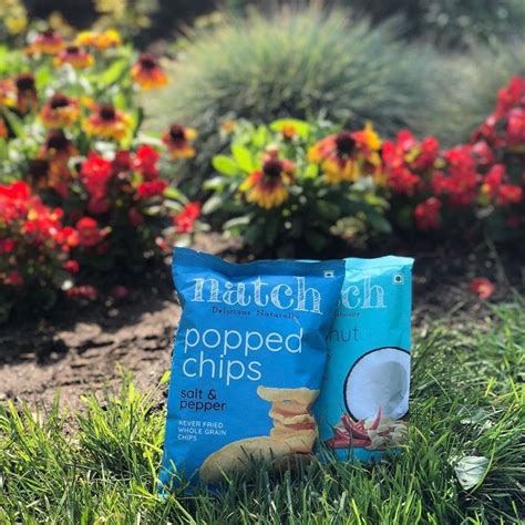 Get Salt & Pepper Popped Chips - Pack of 3 (20g Each) at ₹ 300 | LBB Shop