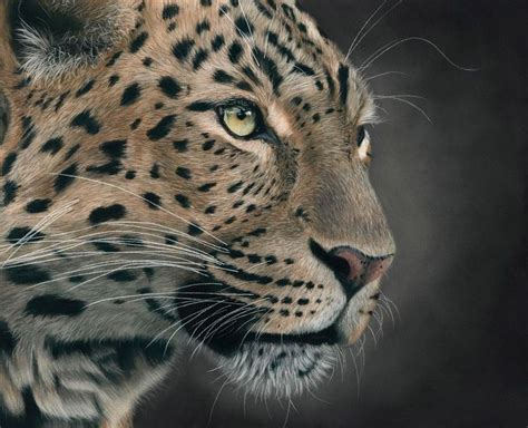 Image result for Leopard Print Tutorial