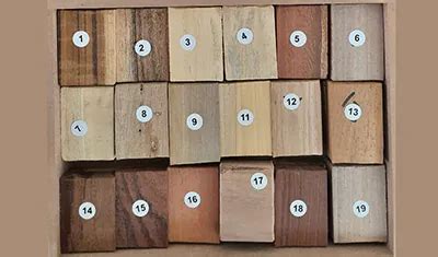 FCRI Hyderabad | Official Website