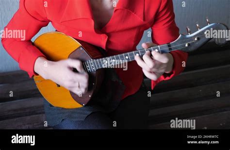 Image result for Traditional String Instruments