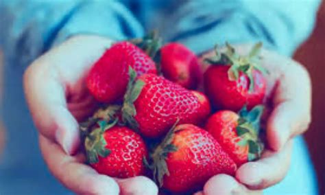 Strawberries May Help Control Blood Sugar and Inflammation in People ...